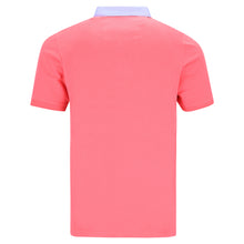 Load image into Gallery viewer, Jersey polo shirt button-down collar BIAGIO