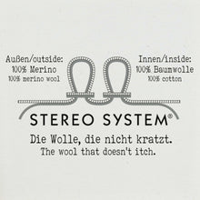 Lade das Bild in den Galerie-Viewer, Erklärung Stereo System
